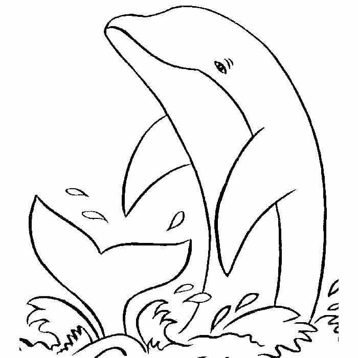 Dibujo de un delfín en el mar :: Imágenes y fotos
