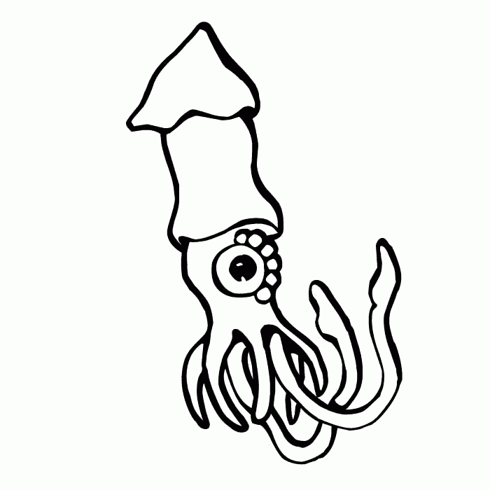 Dibujos de calamares para colorear