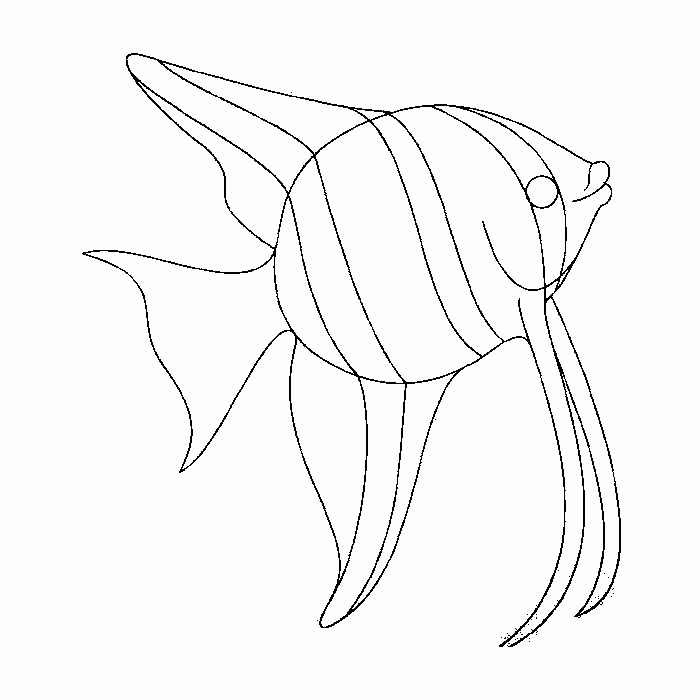 Dibujos de peces exóticos para pintar