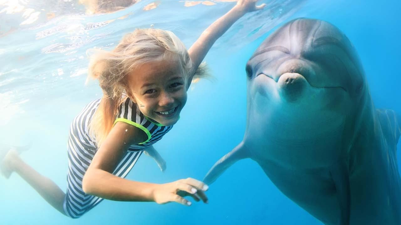 Niña con delfin
