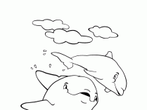 Dibujos de delfines para pintar 