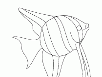 Dibujos de peces exóticos para pintar