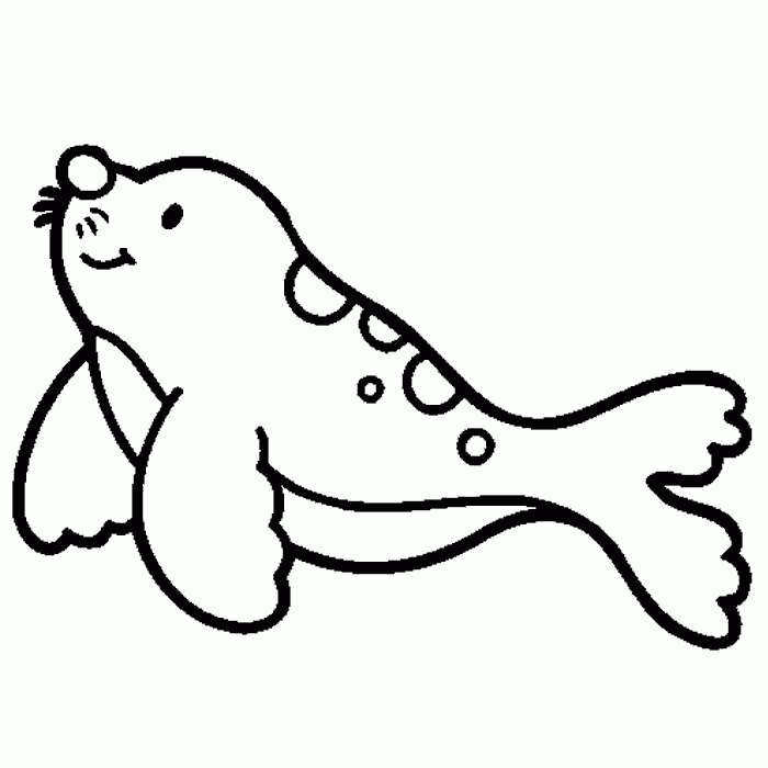 Dibujos de focas para niños
