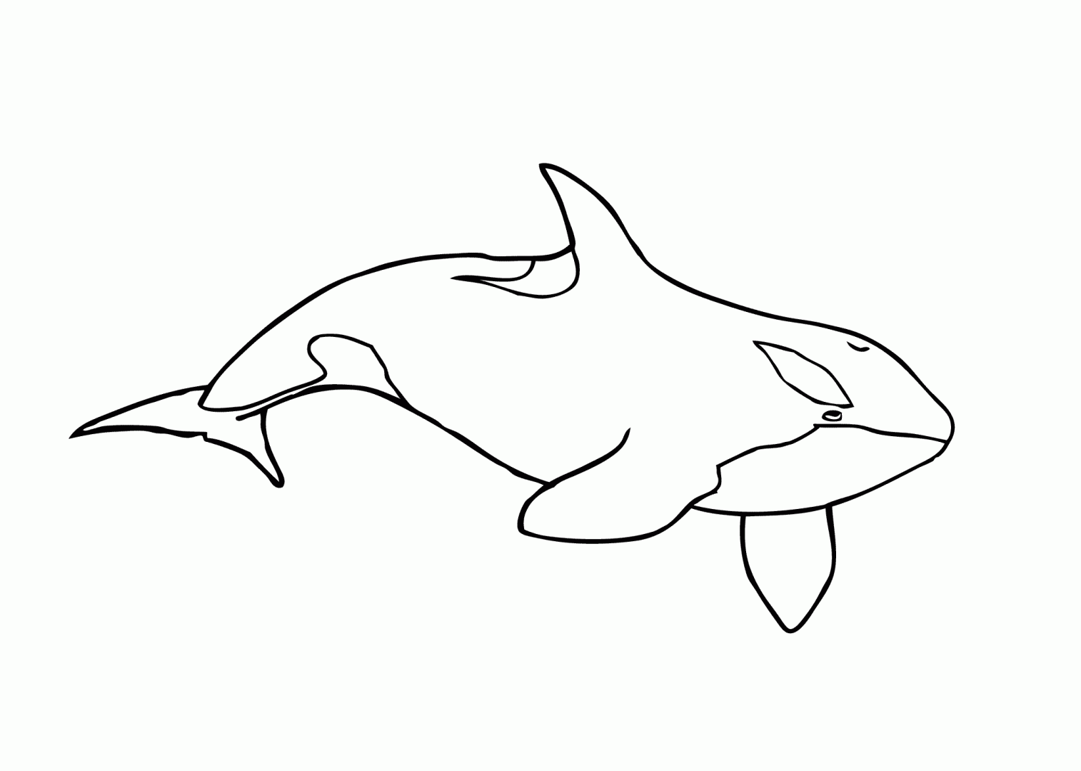 Dibujos de orcas para colorear 