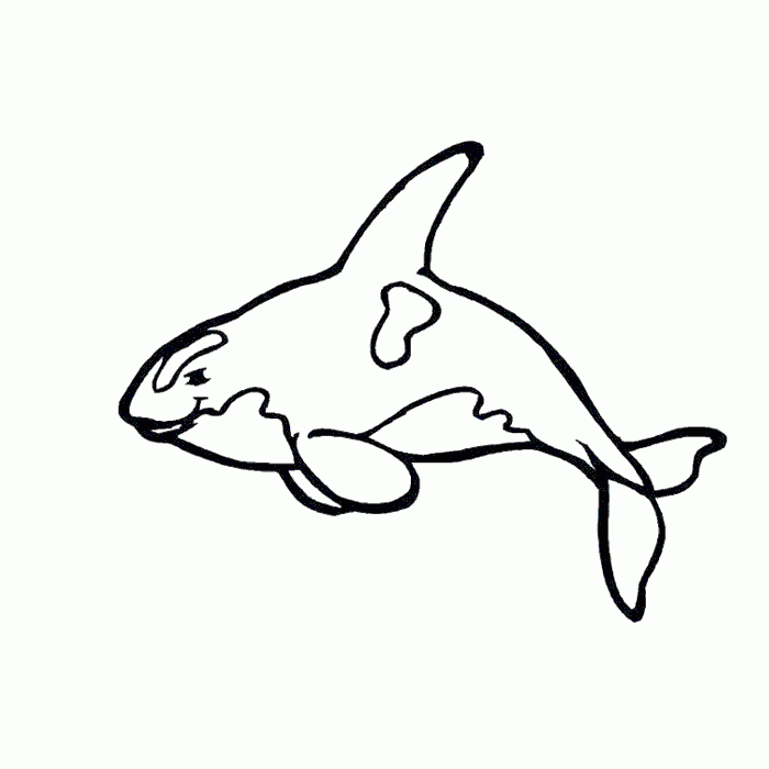 Dibujos para niños de orcas