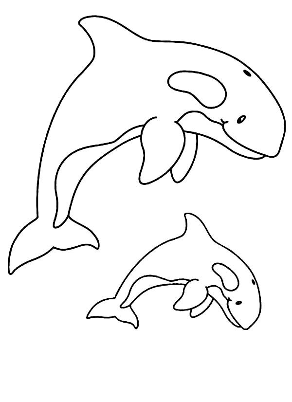 Galería de imágenes: Dibujos infantiles de orcas para colorear