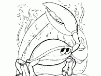 Dibujos de cangrejos para pintar
