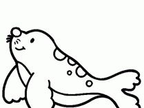 Dibujos de focas para niños