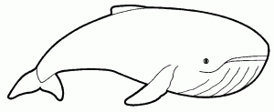 Dibujos infantiles de ballenas para colorear