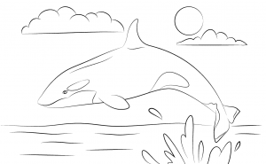 Dibujos infantiles de orcas para colorear