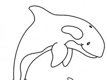 Dibujos para pintar de orcas