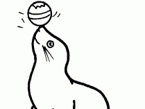 Foca para colorear jugando con una pelota