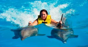 Nadar con delfines