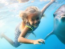 Niña con delfin