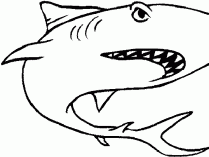 Dibujos Infantiles De Tiburones Para Colorear